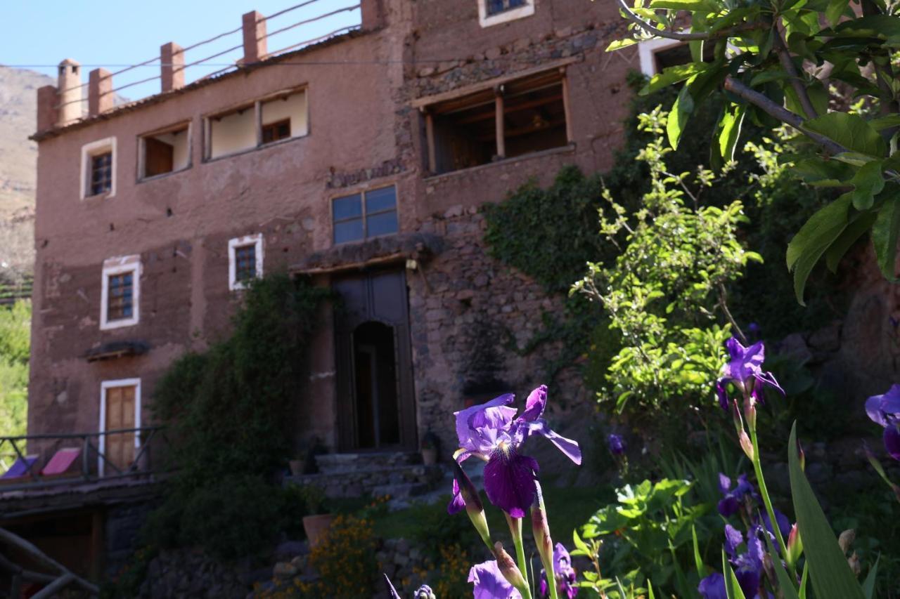 Douar Samra Hotel Imlil  Luaran gambar