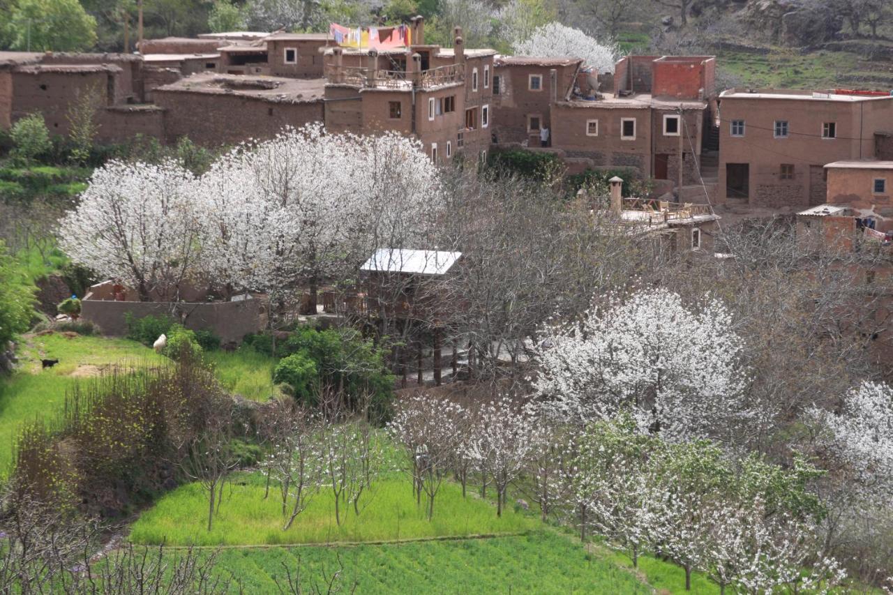 Douar Samra Hotel Imlil  Luaran gambar